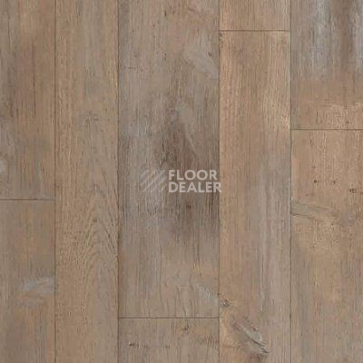 Линолеум Juteks Forum HUNTER 4_667D фото 1 | FLOORDEALER